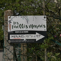 44 - Les Faillis marais