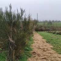 Les 3 vergers