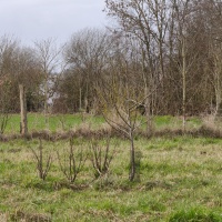 Aux Coul'Eure du cheval