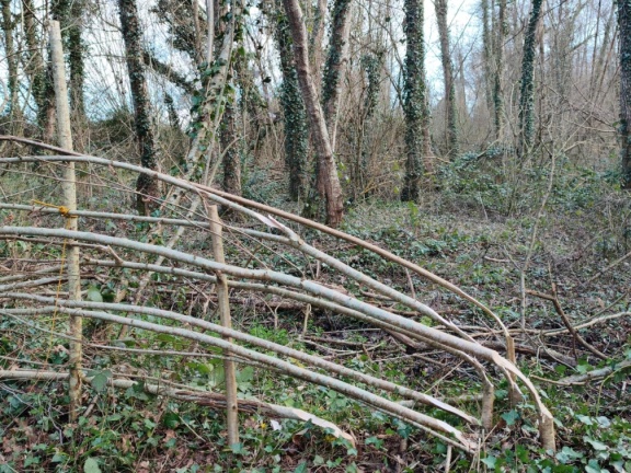 WhatsApp Image 2026-03-11 at 15.58.34