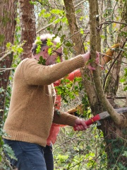 WhatsApp Image 2026-03-11 at 15.58.35