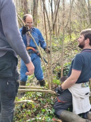 WhatsApp Image 2026-03-11 at 15.58.36 (1)