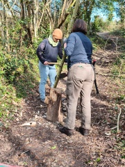 WhatsApp Image 2026-03-11 at 15.58.37 (2)