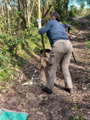 WhatsApp Image 2026-03-11 at 15.58.37