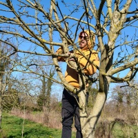 Formation taille avec Julien Coirier 2026 (jardin des Marais)