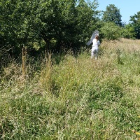 Formation biodiversité fonctionnelle 24 juin 2026
